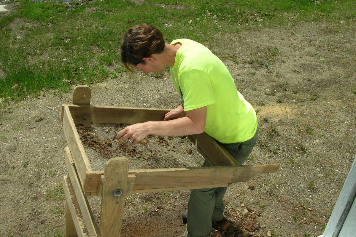 More shaking, sifting and searching the soil removed from the second test pit for artifacts.