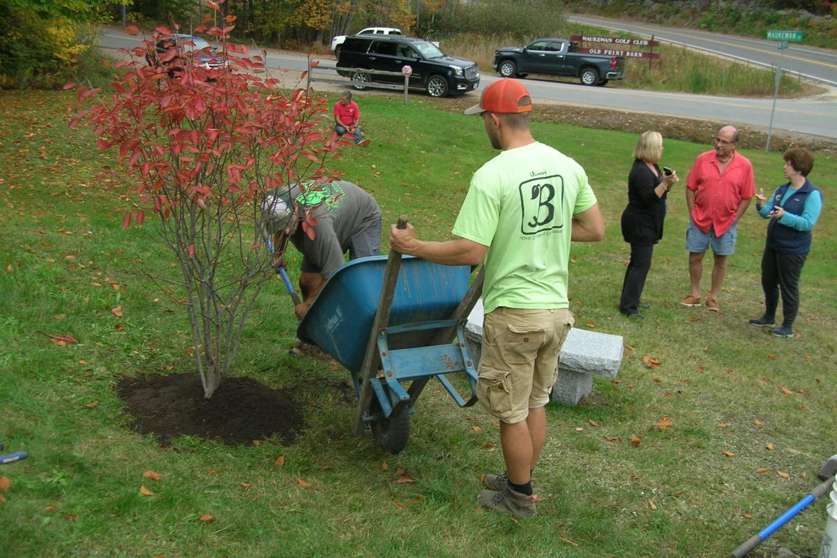 More than 20 donors gifted the serviceberry tree to recognize Dave's service to the community.