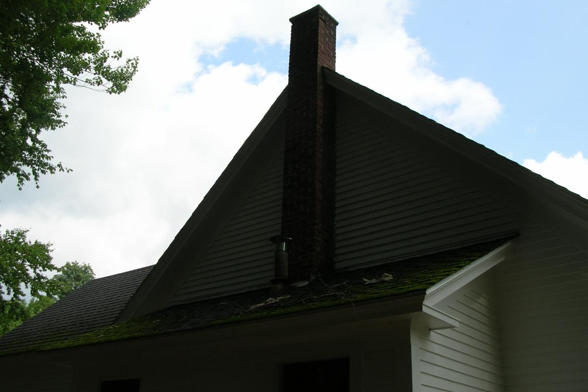Much moss is growing on the Town House roof, especially in the shaded ares.